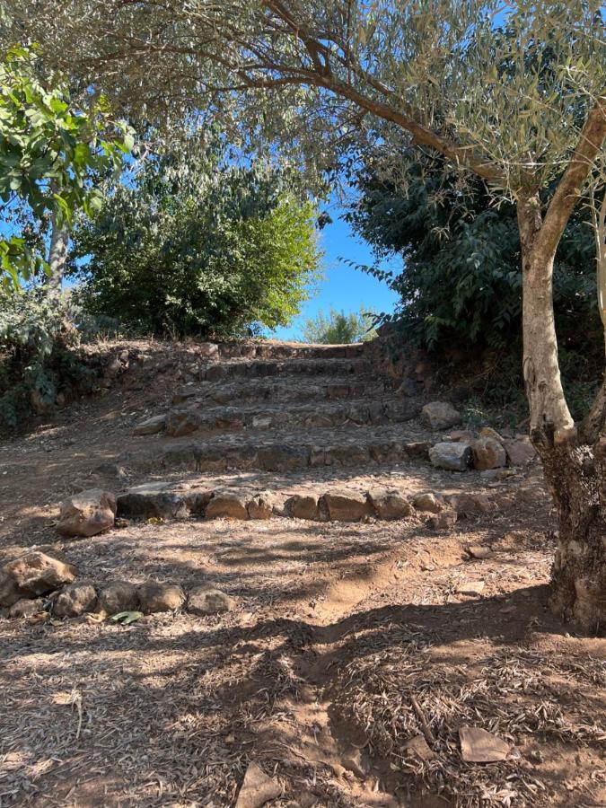 Villa La Casita De Campo Cordova Esterno foto