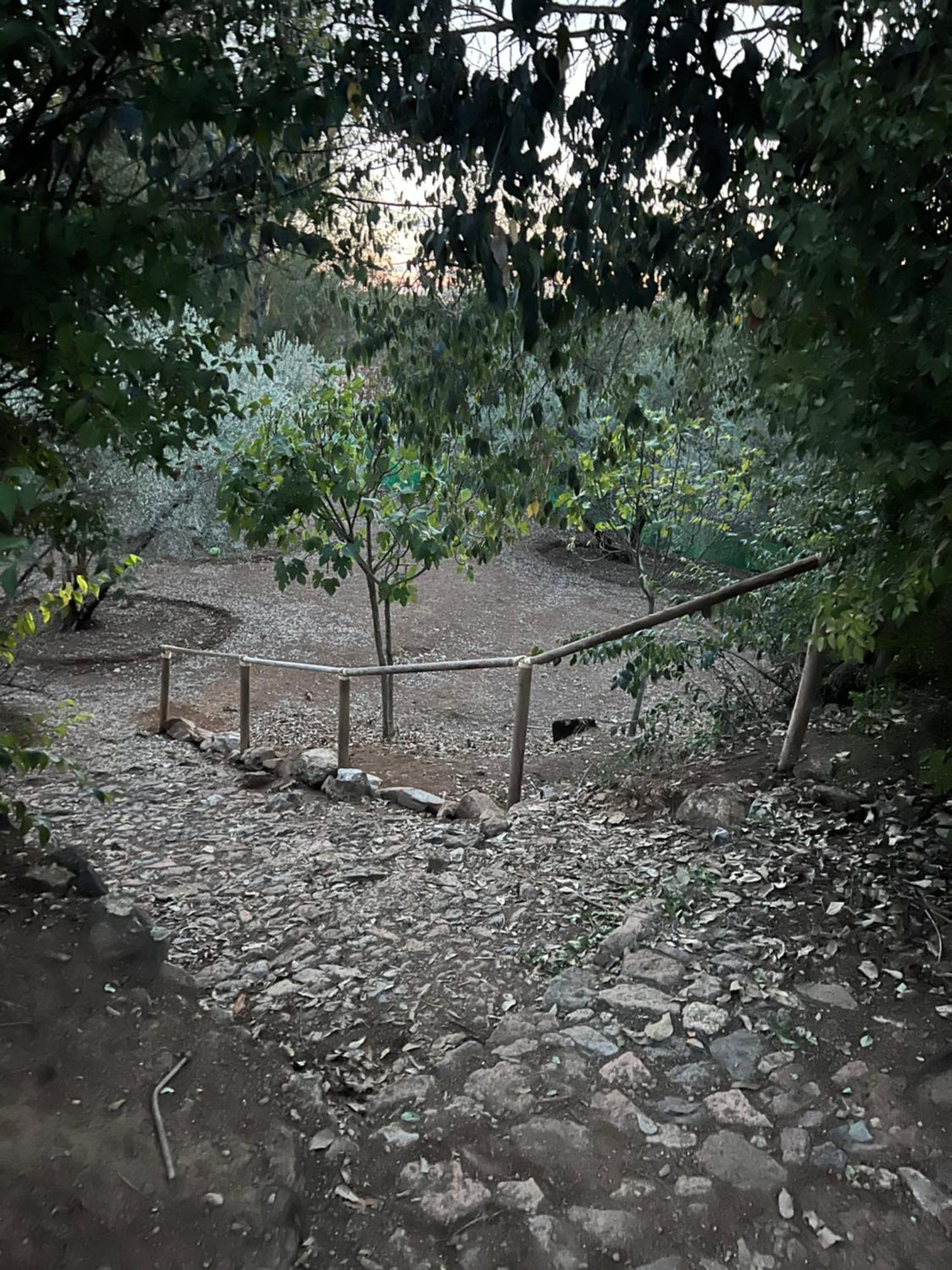 Villa La Casita De Campo Cordova Esterno foto